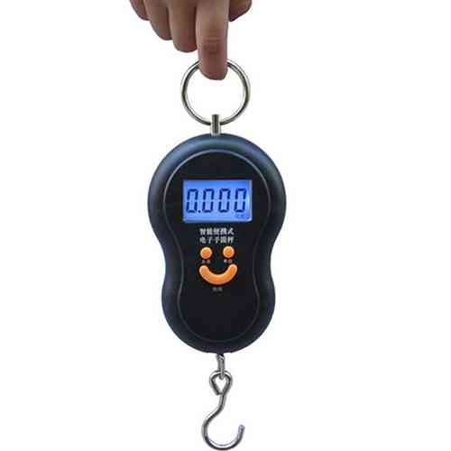portable electronic scale price