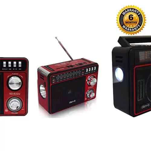 Den-b FM Radio/Music Player with LED Torch Radio