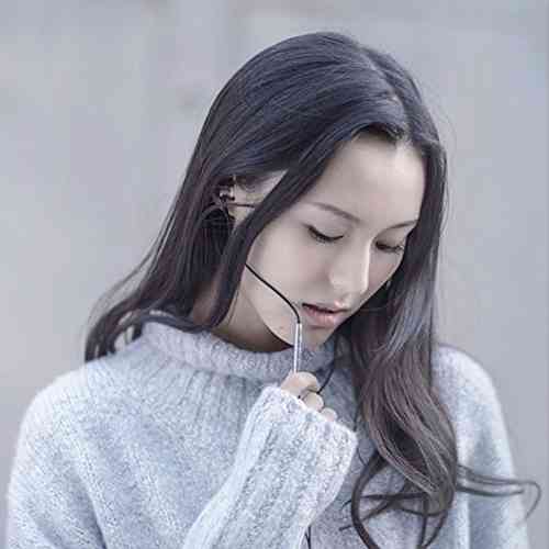 Xiaomi Mi in-Ear Pro HD  Earphone Headphone Headset Earbuds and In-ear