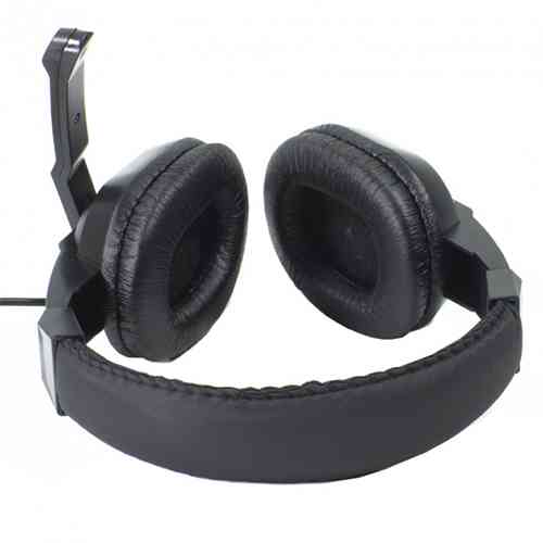 Canleen CT-770 headphones with mic Headphones