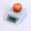 Electronic Digital Scale TS 200 Compact scale Kitchen & Dining