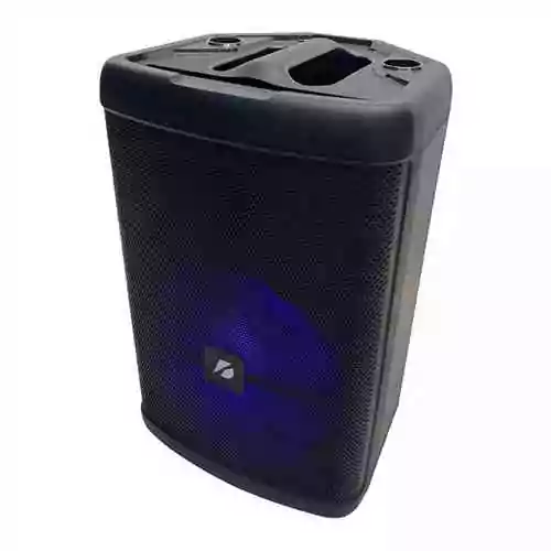 Karaoke Bluetooth Speaker with Wireless Microphone and Remote Audio