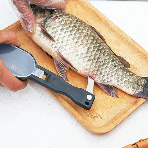 Fish Skin Brush Fast Remove Cleaning Tool Scale Scraper@ido.lk